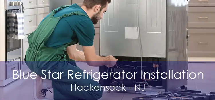 Blue Star Refrigerator Installation Hackensack - NJ