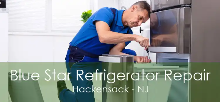 Blue Star Refrigerator Repair Hackensack - NJ