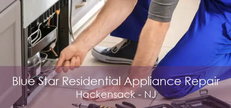 Blue Star Residential Appliance Repair Hackensack - NJ