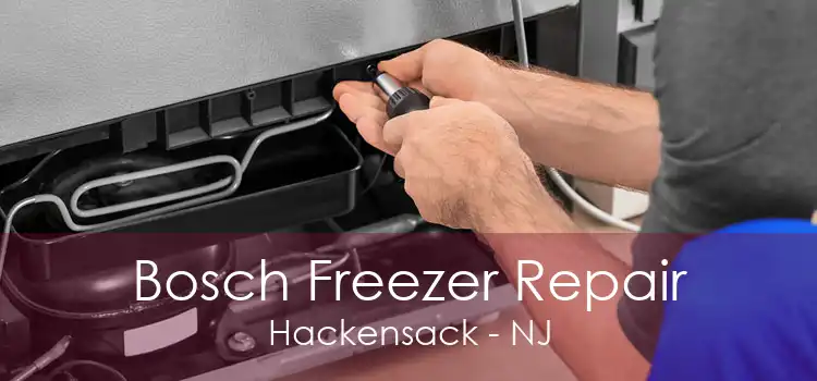 Bosch Freezer Repair Hackensack - NJ