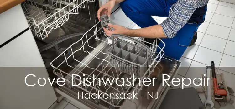 Cove Dishwasher Repair Hackensack - NJ