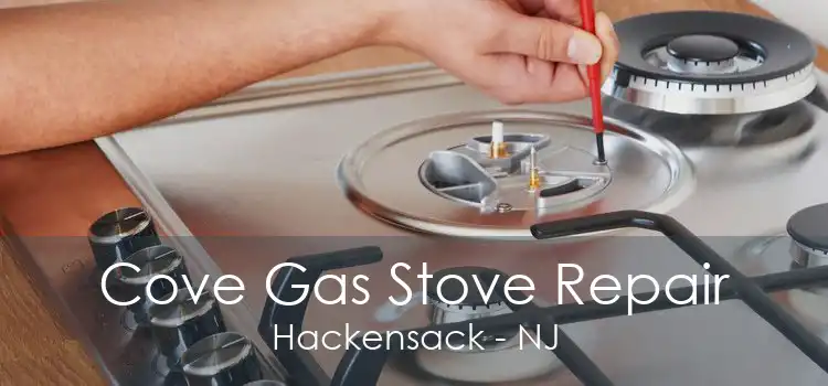 Cove Gas Stove Repair Hackensack - NJ