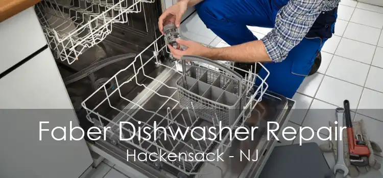 Faber Dishwasher Repair Hackensack - NJ