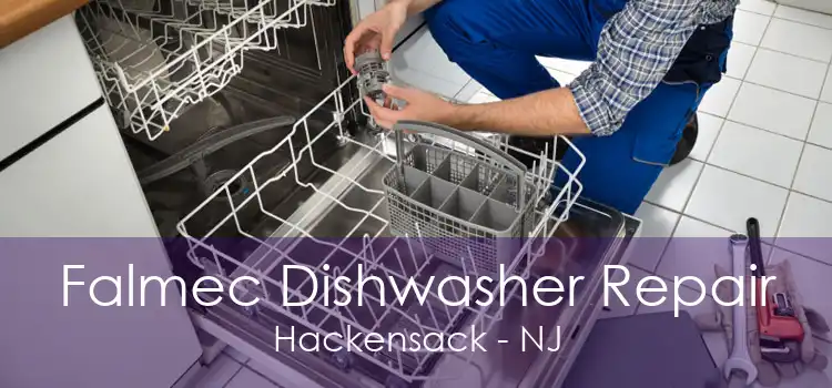 Falmec Dishwasher Repair Hackensack - NJ