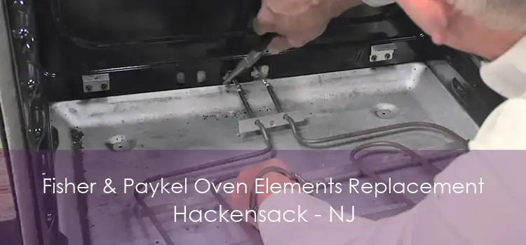 Fisher & Paykel Oven Elements Replacement Hackensack - NJ