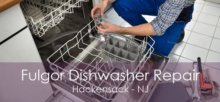 Fulgor Dishwasher Repair Hackensack - NJ