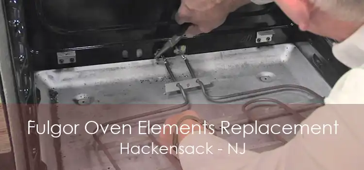 Fulgor Oven Elements Replacement Hackensack - NJ