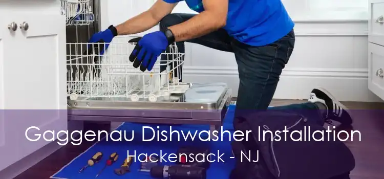 Gaggenau Dishwasher Installation Hackensack - NJ