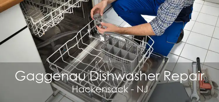 Gaggenau Dishwasher Repair Hackensack - NJ