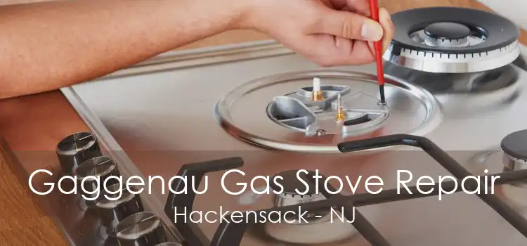 Gaggenau Gas Stove Repair Hackensack - NJ