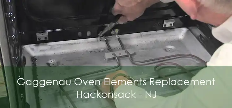 Gaggenau Oven Elements Replacement Hackensack - NJ