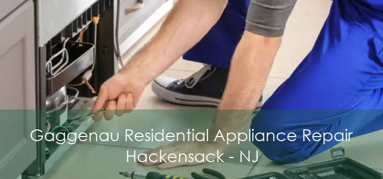 Gaggenau Residential Appliance Repair Hackensack - NJ