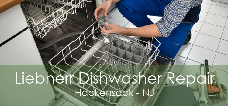 Liebherr Dishwasher Repair Hackensack - NJ