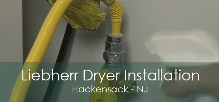 Liebherr Dryer Installation Hackensack - NJ