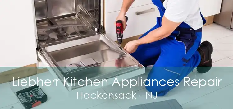 Liebherr Kitchen Appliances Repair Hackensack - NJ