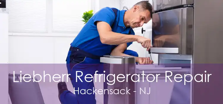 Liebherr Refrigerator Repair Hackensack - NJ