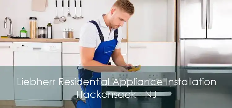 Liebherr Residential Appliance Installation Hackensack - NJ