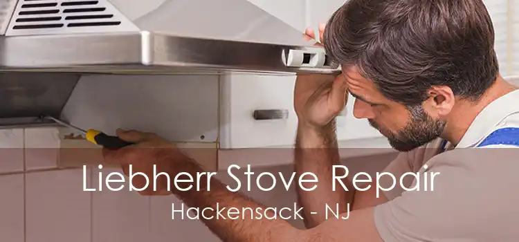 Liebherr Stove Repair Hackensack - NJ