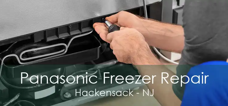 Panasonic Freezer Repair Hackensack - NJ