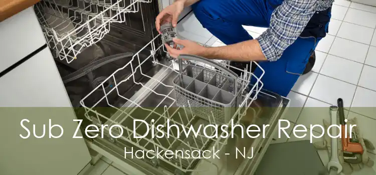 Sub Zero Dishwasher Repair Hackensack - NJ