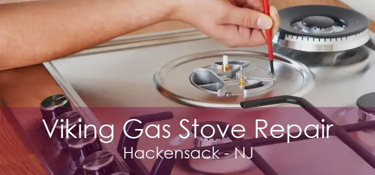 Viking Gas Stove Repair Hackensack - NJ