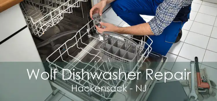 Wolf Dishwasher Repair Hackensack - NJ