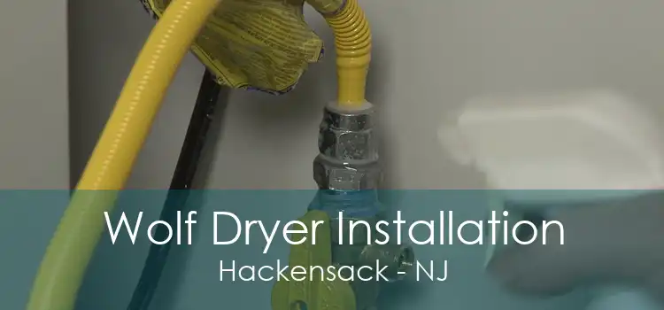 Wolf Dryer Installation Hackensack - NJ