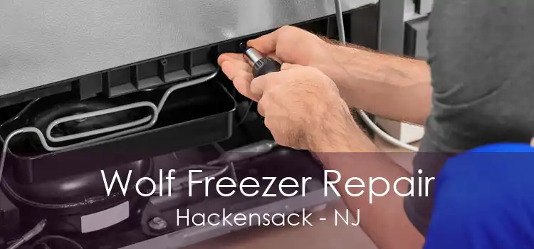 Wolf Freezer Repair Hackensack - NJ