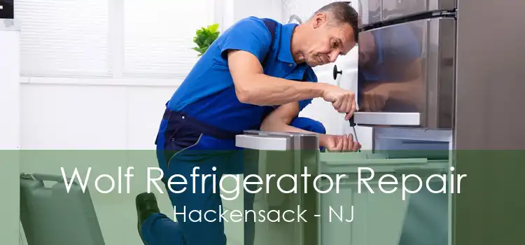 Wolf Refrigerator Repair Hackensack - NJ