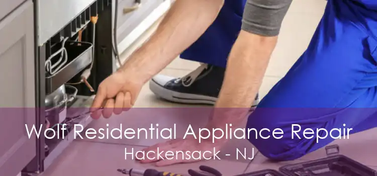 Wolf Residential Appliance Repair Hackensack - NJ