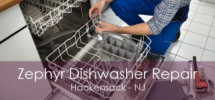 Zephyr Dishwasher Repair Hackensack - NJ