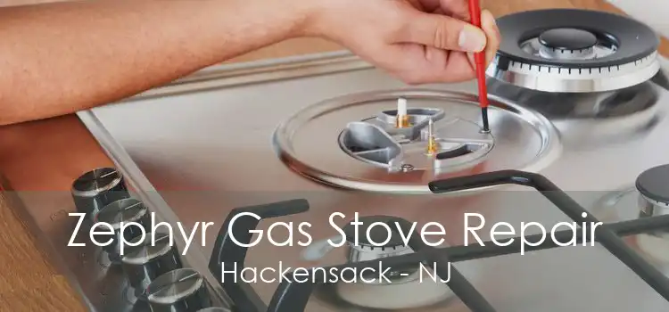 Zephyr Gas Stove Repair Hackensack - NJ